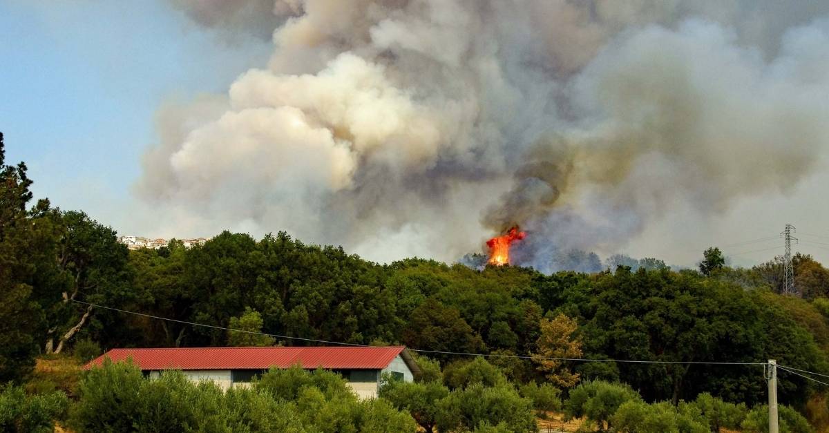 que faire en cas de feux de forêt avec un chauffage fioul